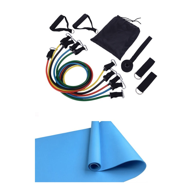CoreFit Ab Roller Wheel with Mat